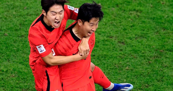 Thưởng tân thủ NOHU90: Cơ hội vàng cho fan thể thao châu Á – Phi tại World Cup 2026 - hình ảnh - nohu90bet.vip