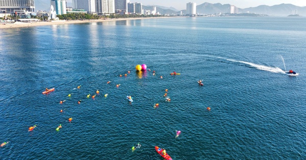 NOHU90 chính thức đồng hành cùng giải bơi biển SeaStar Nha Trang Bay 2026 - hình ảnh - nohu90bet.vip