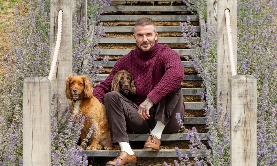 Thưởng đăng ký NOHU90 và phong cách thời thượng của David Beckham - hình ảnh - nohu90bet.vip Thưởng đăng ký NOHU90 và phong cách thời thượng của David Beckham - hình ảnh - nohu90bet.vip