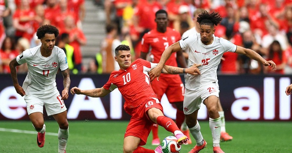 NOHU90 cược bóng đá: Thụy Sĩ vs Algeria – Cơ hội vàng cho ‘cáo sa mạc’? - hình ảnh - nohu90bet.vip NOHU90 cược bóng đá: Thụy Sĩ vs Algeria – Cơ hội vàng cho ‘cáo sa mạc’? - hình ảnh - nohu90bet.vip